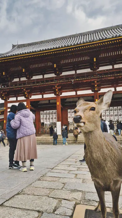 Nara Japão - Roteiro de 20 dias