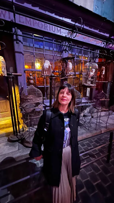 Warner Bros. Studio Tour Tokyo: The Making of Harry